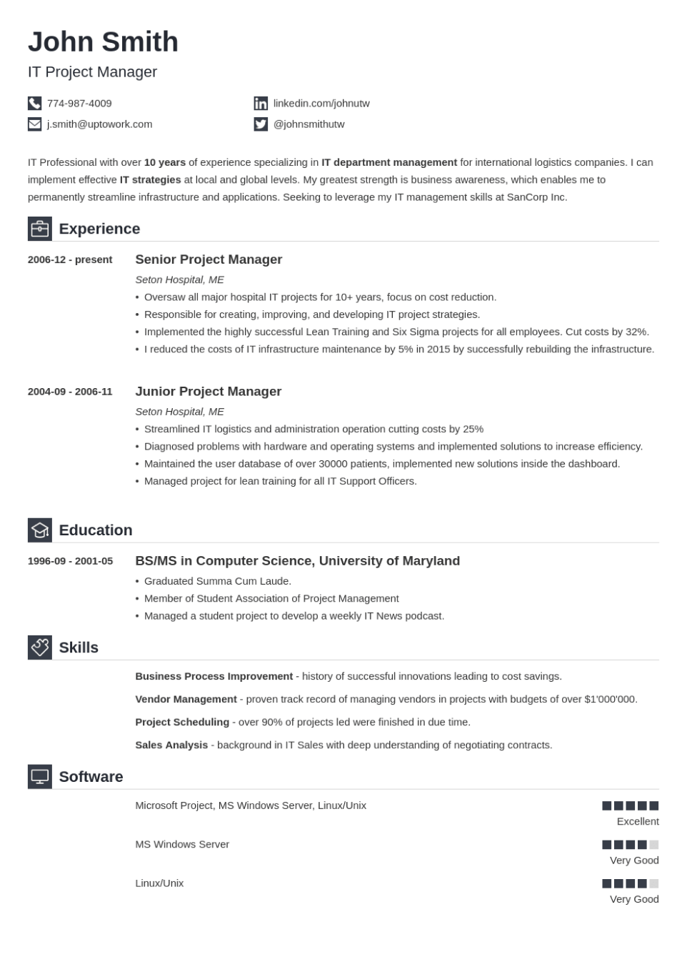 Iconic resume example template