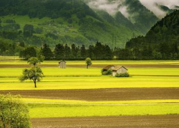 Subsidies in the agricultural sector in the United States.