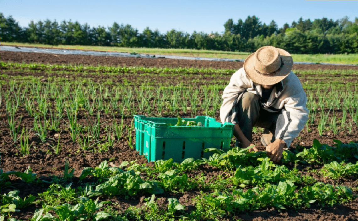 Agricultural worker in basic industries