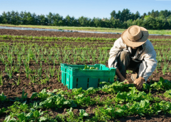 Agricultural worker in basic industries
