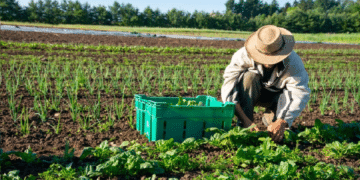 Agricultural worker in basic industries