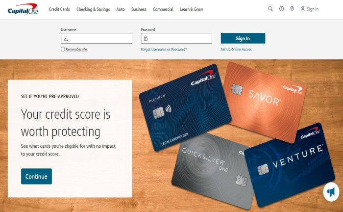 Capital One