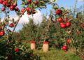 Highest and lowest paid jobs in US agriculture