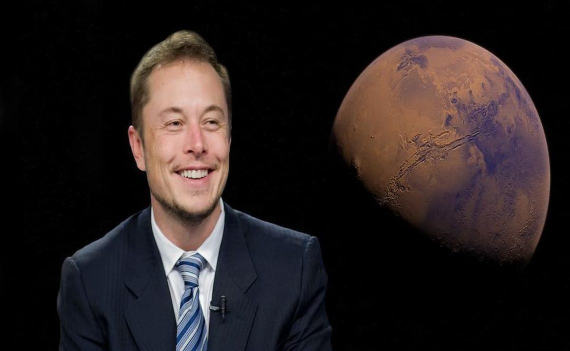 Elon Musk's fortune