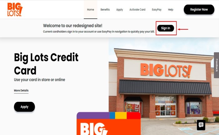 make big lots payment