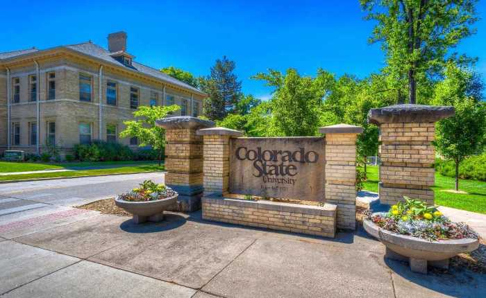 Colorado State University