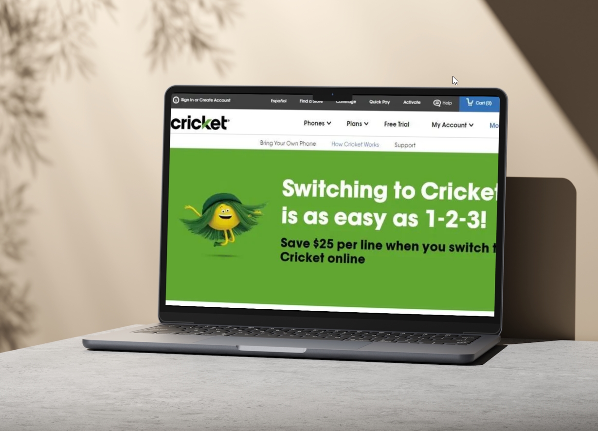 What is Cricket Protect