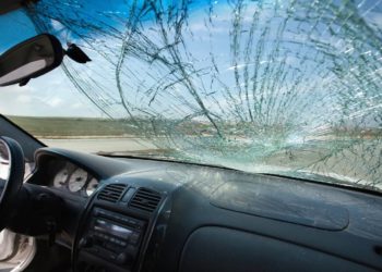 What is Progressive Windshield Insurance about?