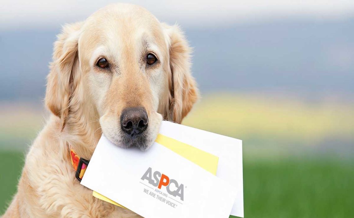 How to Cancel ASPCA Donation?