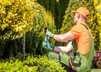 How much is Landscaping Insurance?