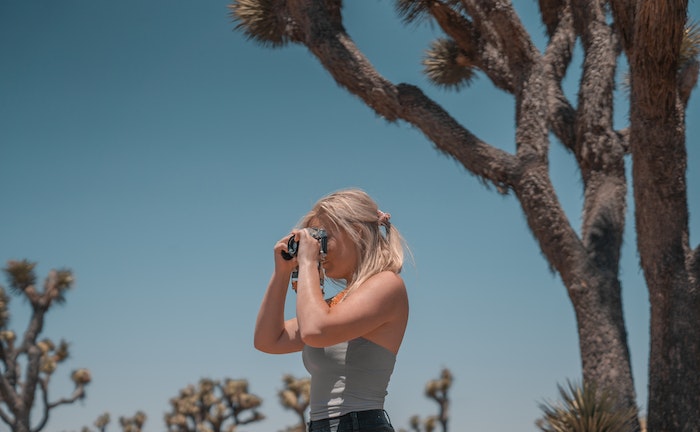 summer in Joshua Tree