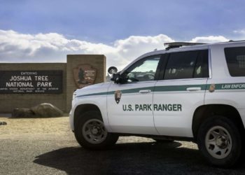 How to Become a Park Ranger