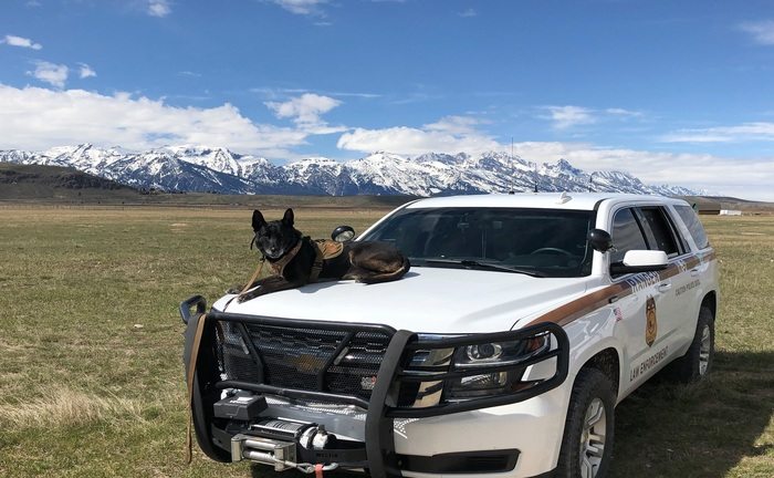 How to Become a Park Ranger