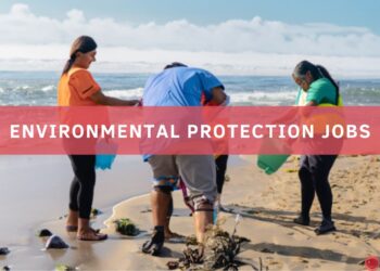 How To Make A Career In Environmental Protection
