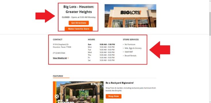 big lots store details