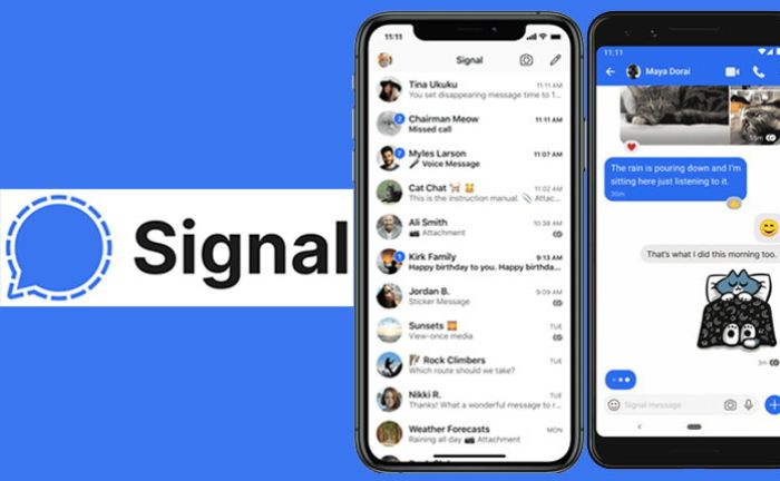 Signal