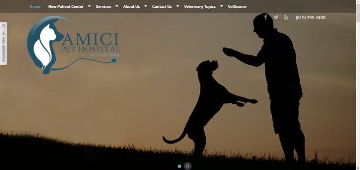 amici pet hospital