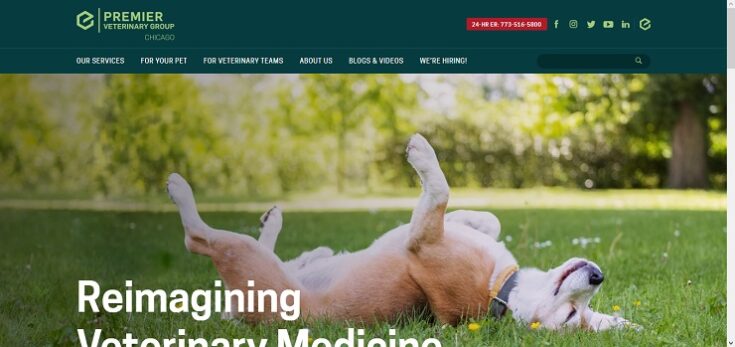 premier veterinary group chicago