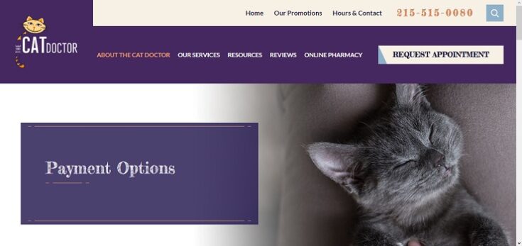 the cat doctor