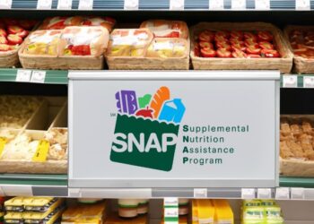 supermarket shelf with foods and products, and a sign with the SNAP Benefits logo